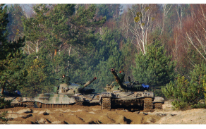 t_72_m1.jpg